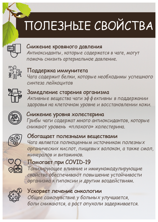 Чай чага березовая дробленая Вятские Дары Природы, натуральный березовый гриб, высший сорт 100 г