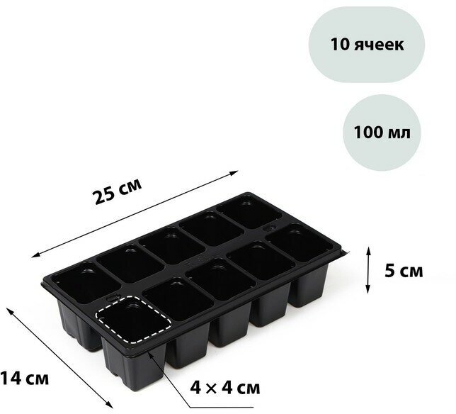 Кассета для рассады Greengo на 10 ячеек по 100 мл пластиковая чёрная 25 × 14 × 5 см