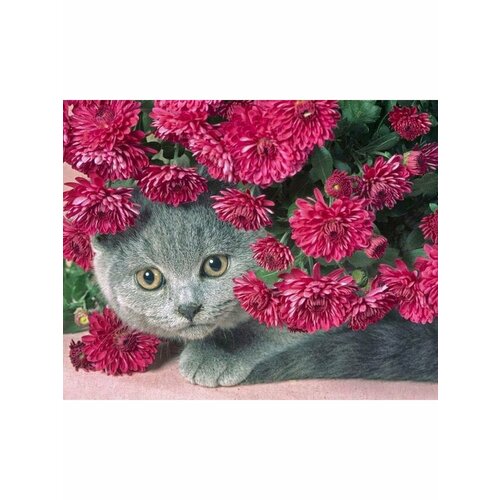 Алмазная мозаика на подрамнике 40х50 кошка в цветах