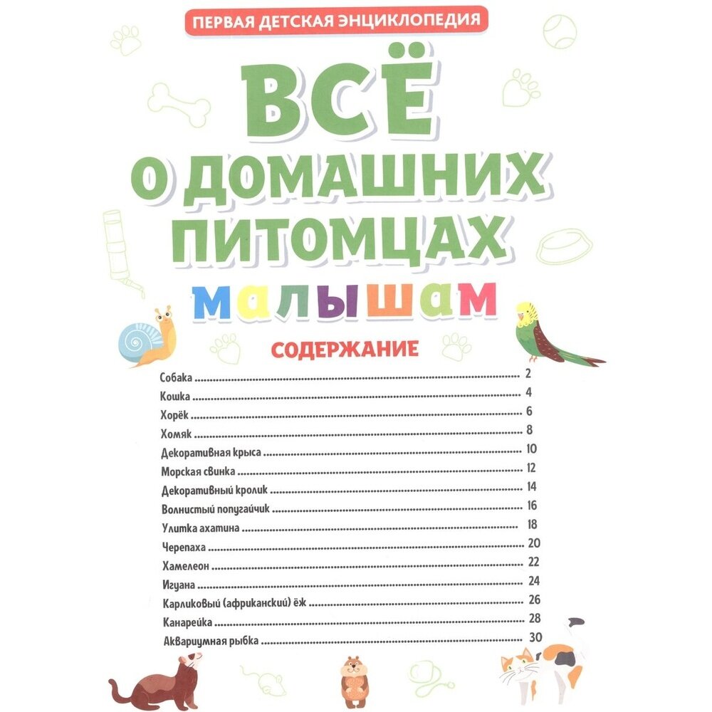 Всё о домашних питомцах малышам - фото №4