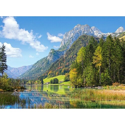 Пазлы 2000 Озеро в Альпах пазлы 110 озеро в лесу collection fauna