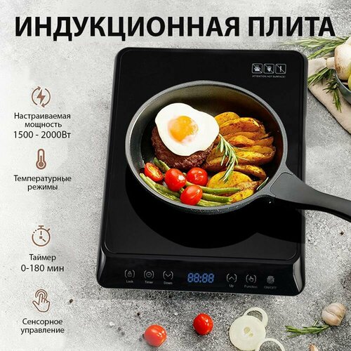 Компактная индукционная плита 410000₽
