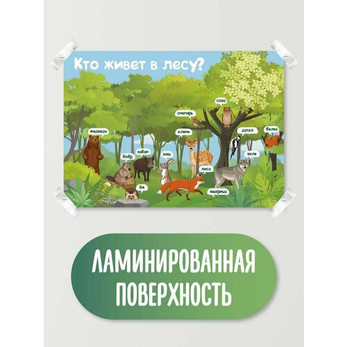 Обучающий плакат обучающий материал школьные плакаты домашние животные морские обитатели кто живет в лесу 305₽