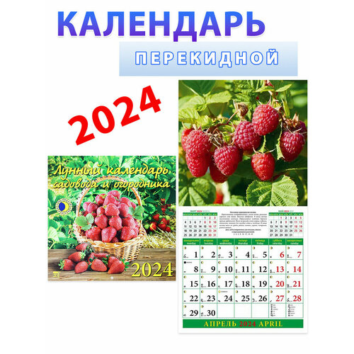 День за днём Лунный календарь садовода и огородника на 2024 год