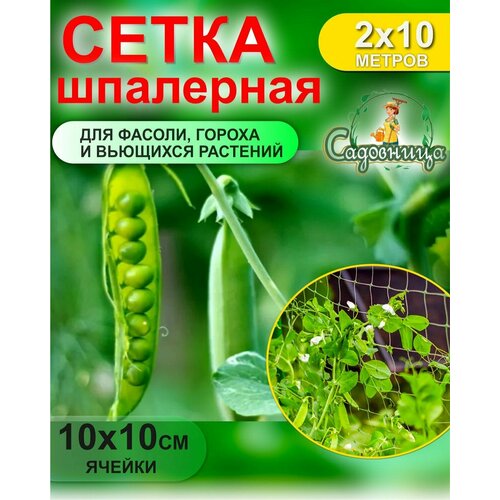 Сетка шпалерная для фасоли и гороха 2*10м (Хаки)