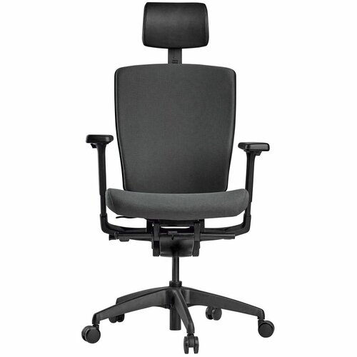 Кресло эргономичное Schairs AEON-Р01B - серое (база черная, каркас черный)