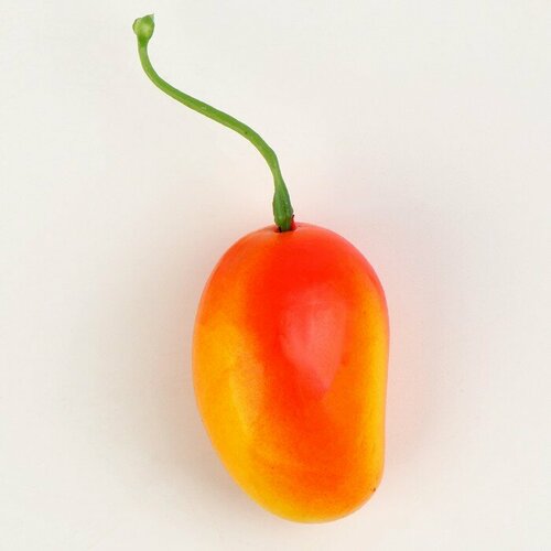 Декор Манго набор 50 шт размер 42 25 см 797₽