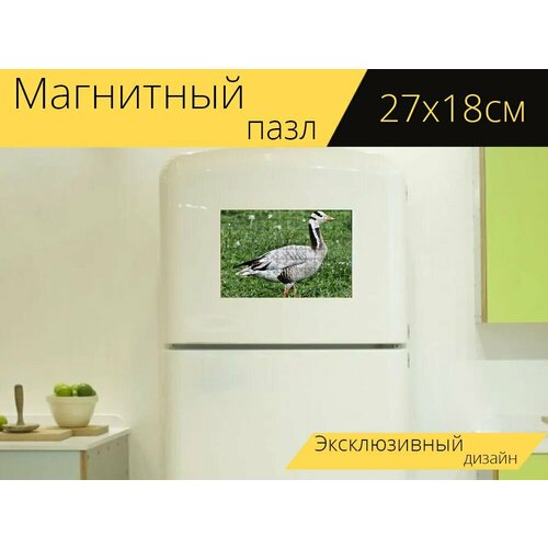 фото Магнитный пазл "бархатный гусь, птица, луг" на холодильник 27 x 18 см. lotsprints