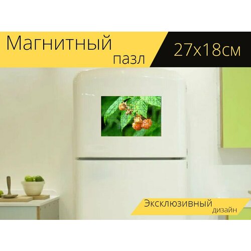 Магнитный пазл Малина, ягода, фрукты на холодильник 27 x 18 см.