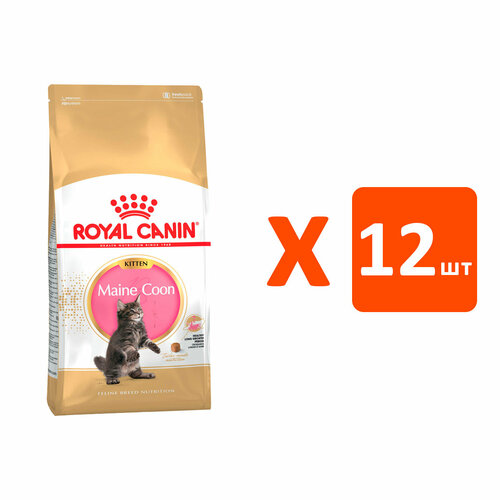 корм для котят royal canin maine coon kitten сбалансированный для породы мэйн кун сух 2кг ROYAL CANIN MAINE COON KITTEN 36 для котят мэйн кун (0,4 кг х 12 шт)