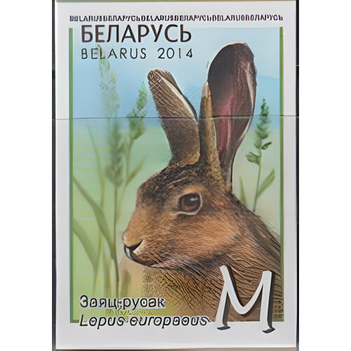 Почтовые марки Беларусь 2014г. Заяц-русак Фауна, Грызуны MNH почтовые марки беларусь 2021г исчезающие виды национальной дикой природы птицы фауна грызуны mnh