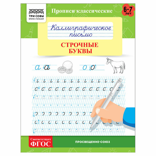 Прописи классические, А5 ТРИ совы Каллиграфическое письмо. Строчные буквы, 16стр, 10 штук