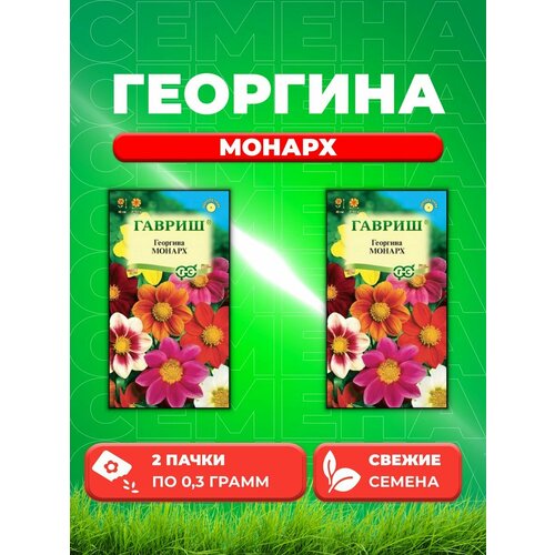 георгина пенхил дарк монарх для хранения Георгина Монарх, смесь 0,3 г (2уп)