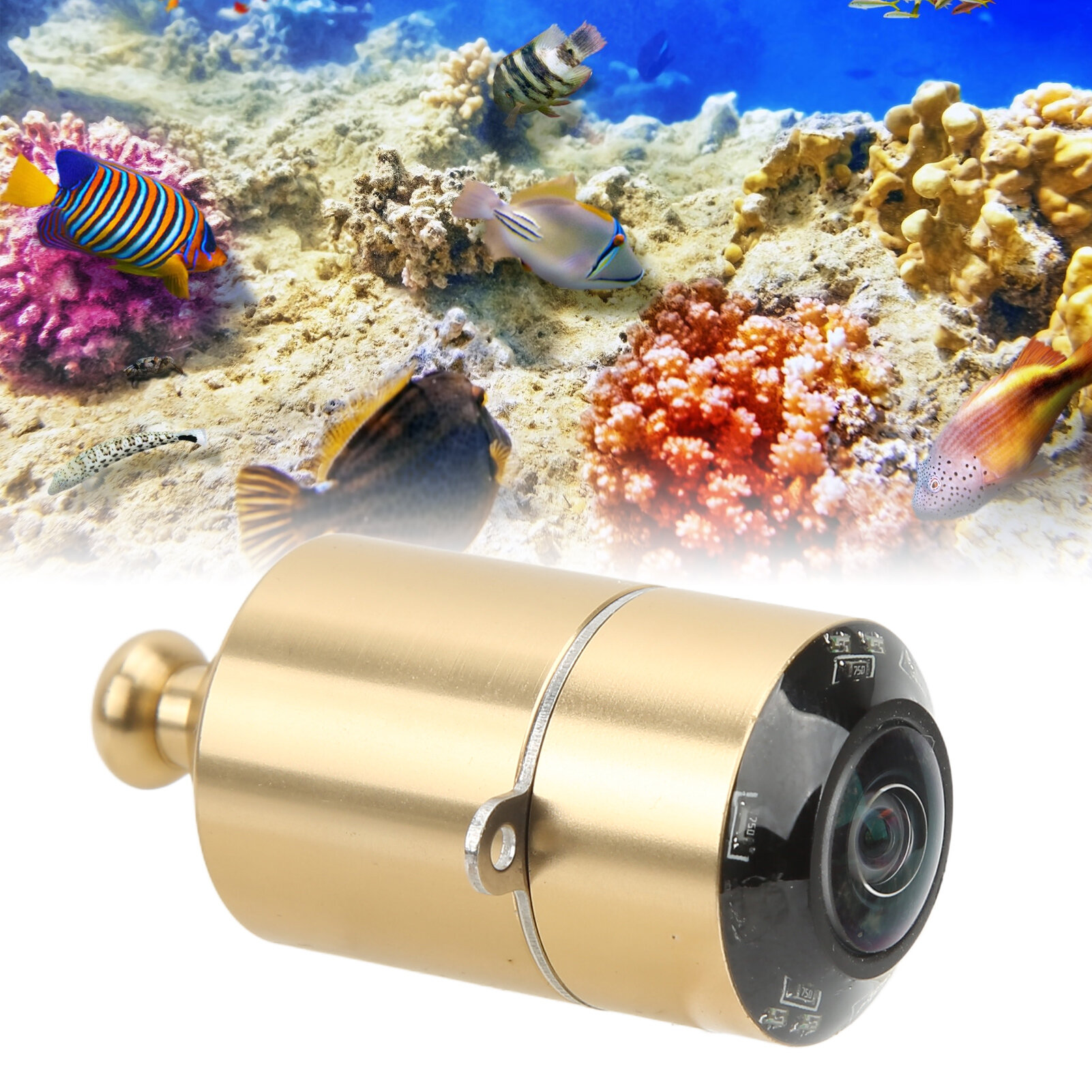 Камера эхолота Профессиональная водонепроницаемая подводная камера CVBS HD Pixels с инфракрасным излучением для лодки 5V 28V