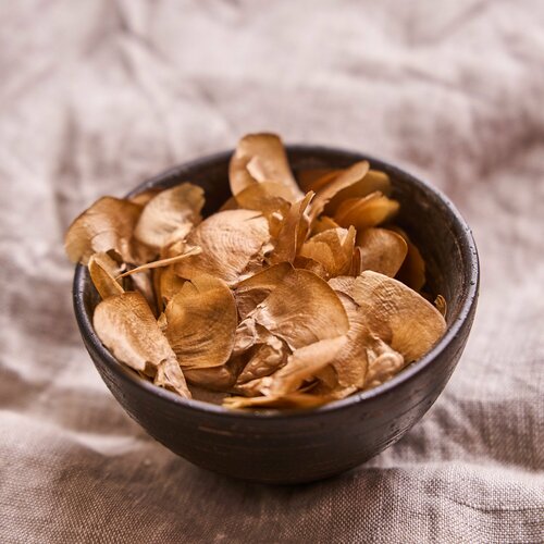 Семена Кедра гималайского, 2 грамма (примерно 14 шт)