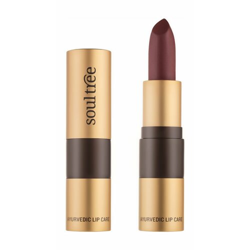 SoulTree Ayurvedic Lip Care