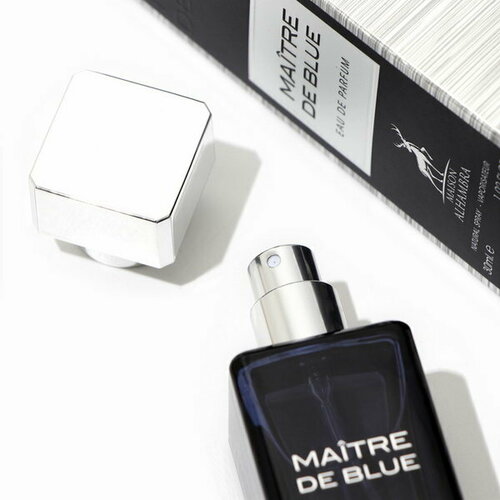 Парфюмерная вода мужская Maitre De Blue