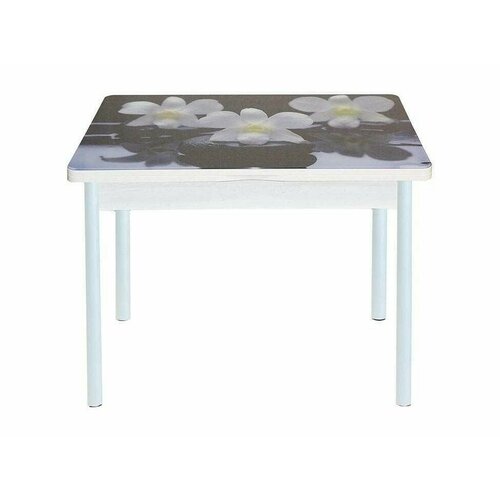 Симпл фотопечать стол обеденный раскладной / орхидея на черных камнях/бетон белый/белый