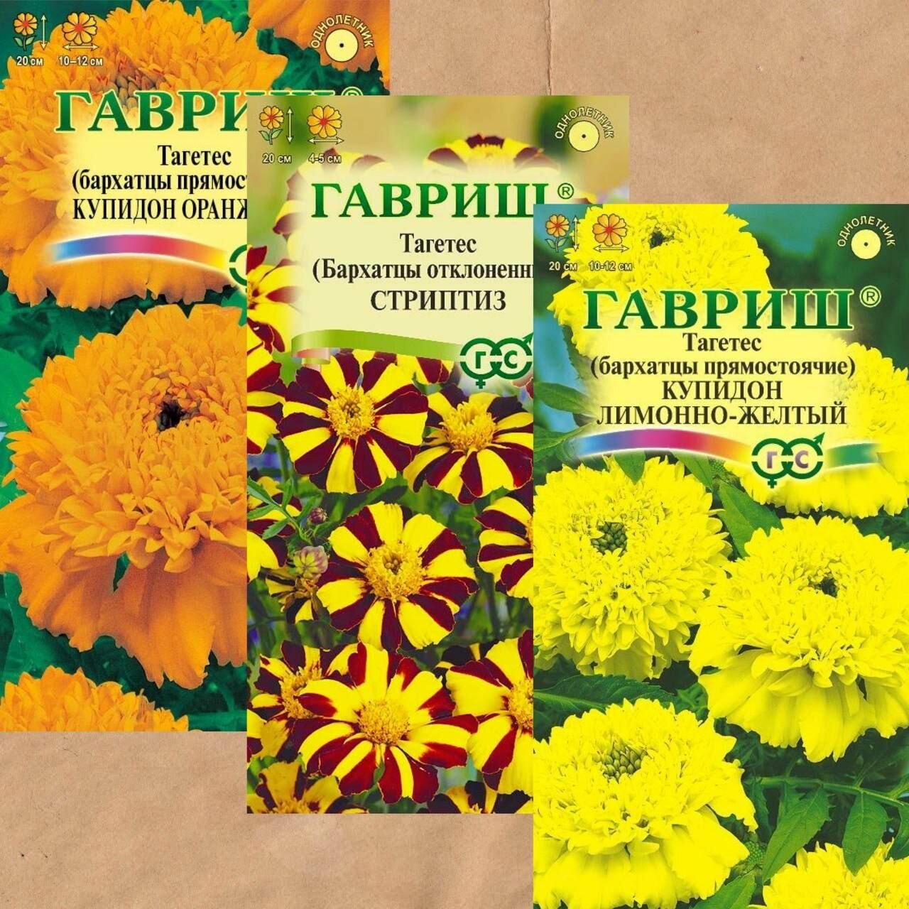 Свежие Семена Гавриш "Бархатцы/Тагетес" 3 упаковки + подарок!