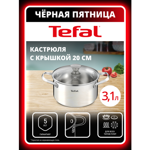 фото Кастрюля 20 см tefal cook eat b9214474 с крышкой, из нержавеющей стали, для всех типов плит, включая индукционные