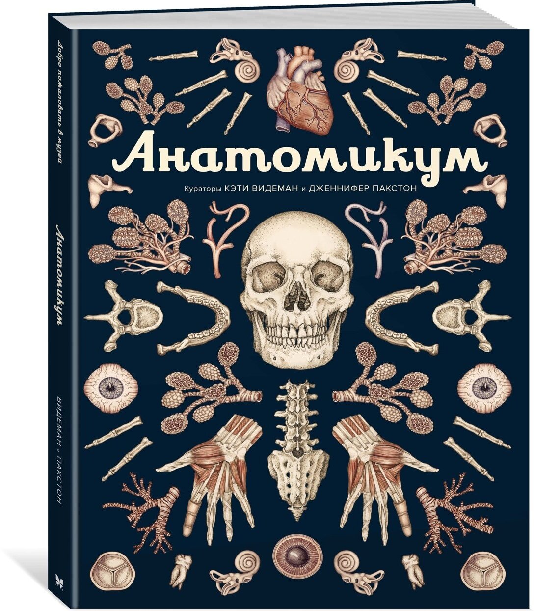 Книга Анатомикум