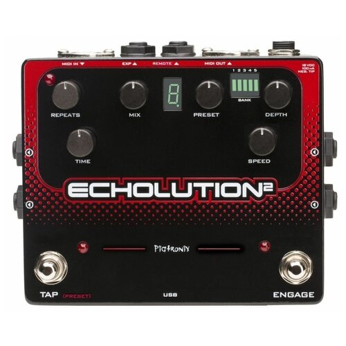 PIGTRONIX E2B Echolution 2 Delay Эффект гитарный