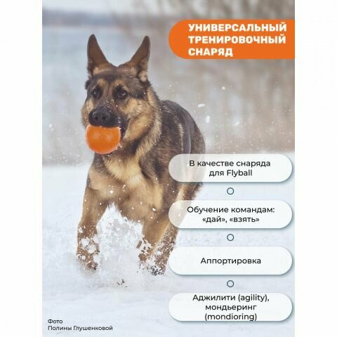 Pet Hobby Игрушка для собак Мяч диаметр 8,5 см средний оранжевый, для собак средних пород (снаряд) - фотография № 3