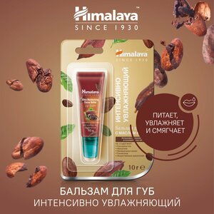 Himalaya Since 1930 Интенсивно увлажняющий бальзам для губ с маслом какао, 10 г