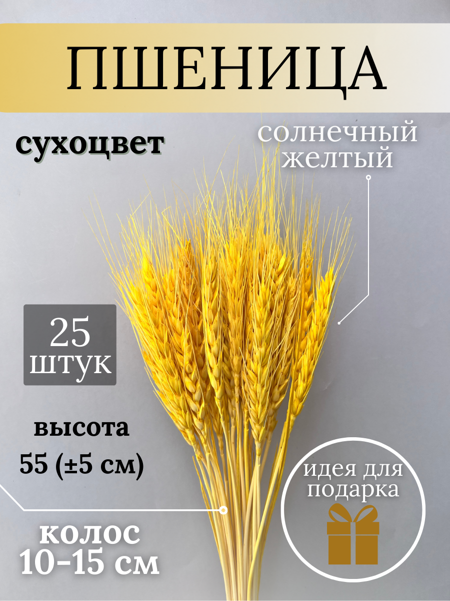 Букет сухоцветы пшеница сухие колоски (Цвет: лимонный желтый)