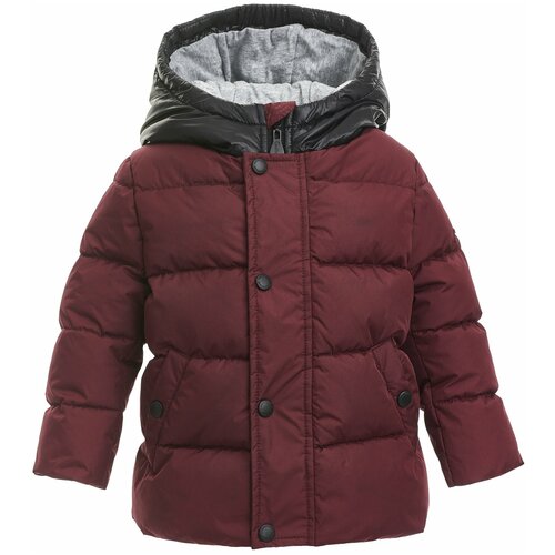 фото Куртка gulliver baby размер 80, бордовый