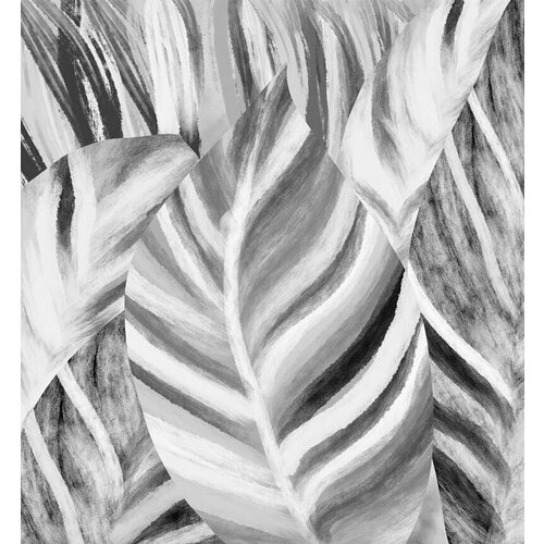 Моющиеся виниловые фотообои Фон банановые листья черно-белые, 250х270 см