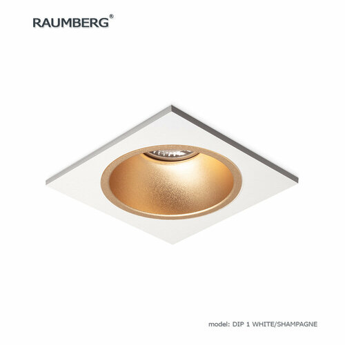 Встраиваемый неповоротный светильник RAUMBERG DIP 1 wh/shampagne белый со вставкой цвета шампань под светодиодную лампу GU10