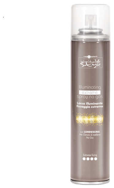 Hair Company      Inimitable style Illuminating extreme,  , 300 