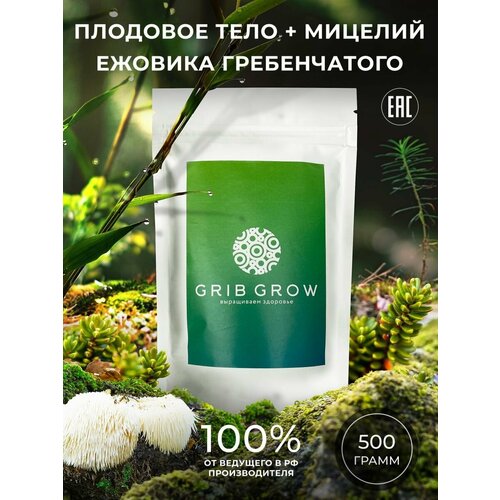 Ежовик Гребенчатый плодовое тело + мицелий Grib Grow - 500 грамм