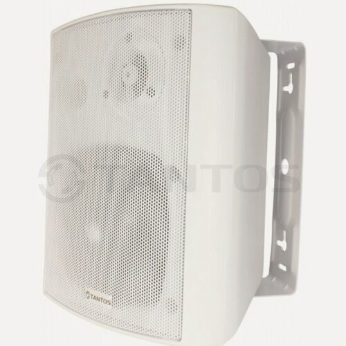 Изображение товара Громкоговоритель настенный Tantos TSo-SW15k