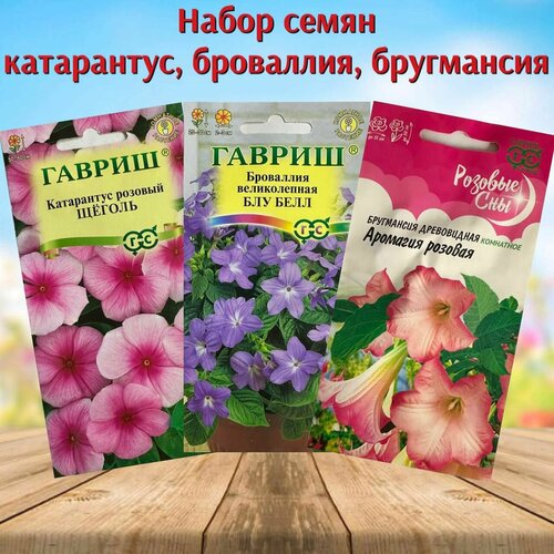 Набор семян цветов Катарантус, Броваллия, Бругмансия 3 уп. бругмансия аромагия белая семена цветы