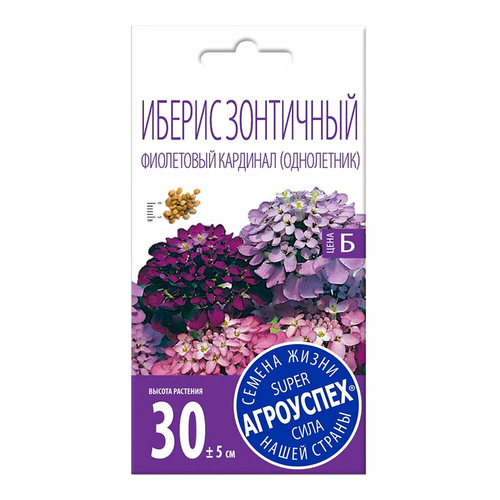 Иберис Фиолетовый кардинал 02 г
