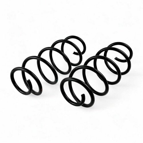 Пружины передней подвески для ВАЗ 2170 с 2004 г. 21702902712