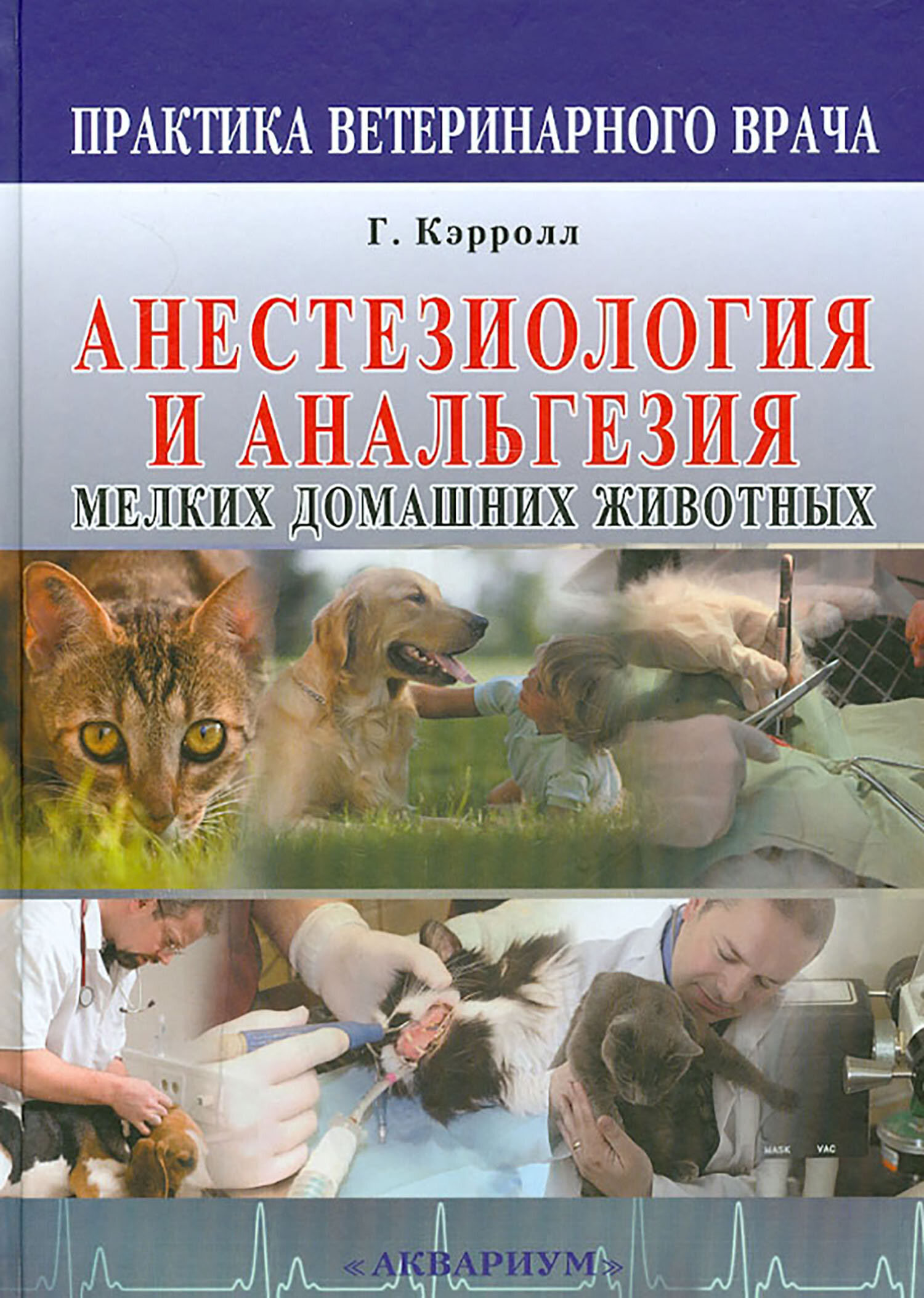 Анестезиология и анальгезия мелких домашних животных - фото №3