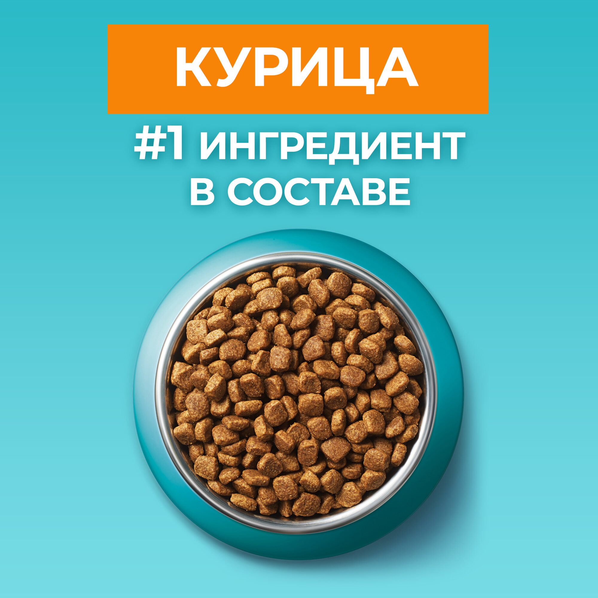 Purina One корм для домашних стерилизованных кошек и кастрированных котов Курица, 3 кг. - фотография № 4