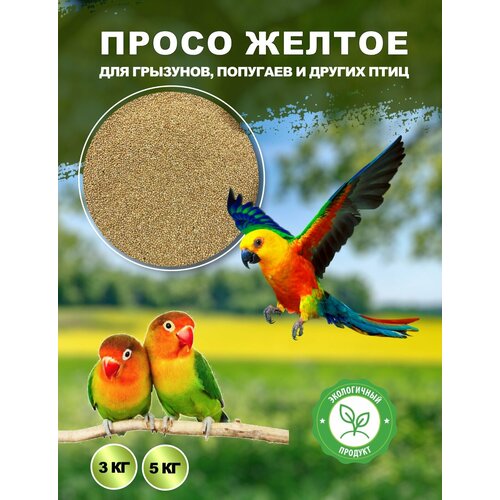 Просо желтое для грызунов, попугаев и других птиц, 5 кг корм просо желтое для попугаев домашних птиц и грызунов 10 кг