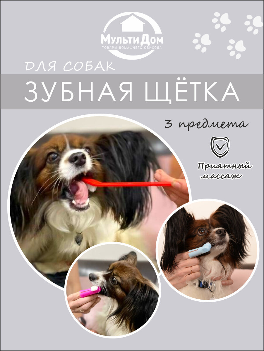 Набор зубных щеток для собак "Чистые зубки", 3 предмета