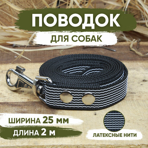 Поводок нейлоновый прорезиненный для собак средних и крупных пород, черный, длина 2м, ширина 25мм