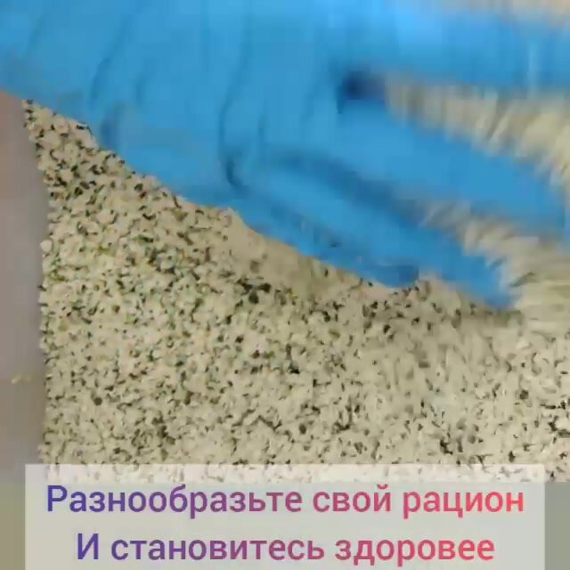 Ядра конопли 500гр очищенные семена конопли суперфуд без оболочки О2 Натуральные продукты — фото 1