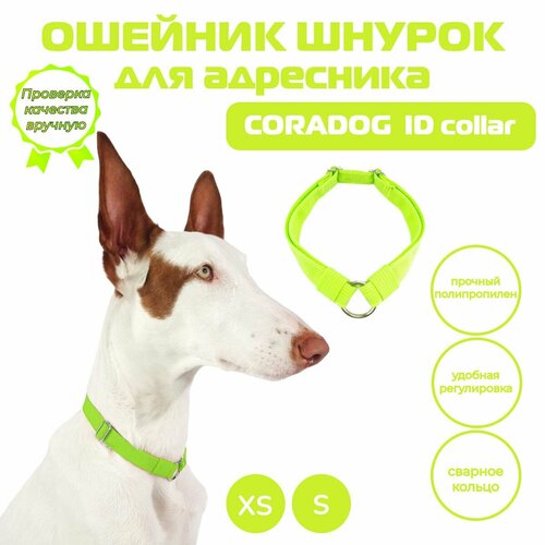 Ошейник шнурок для адресника, CORADOG ID collar, размер XS, салатовый