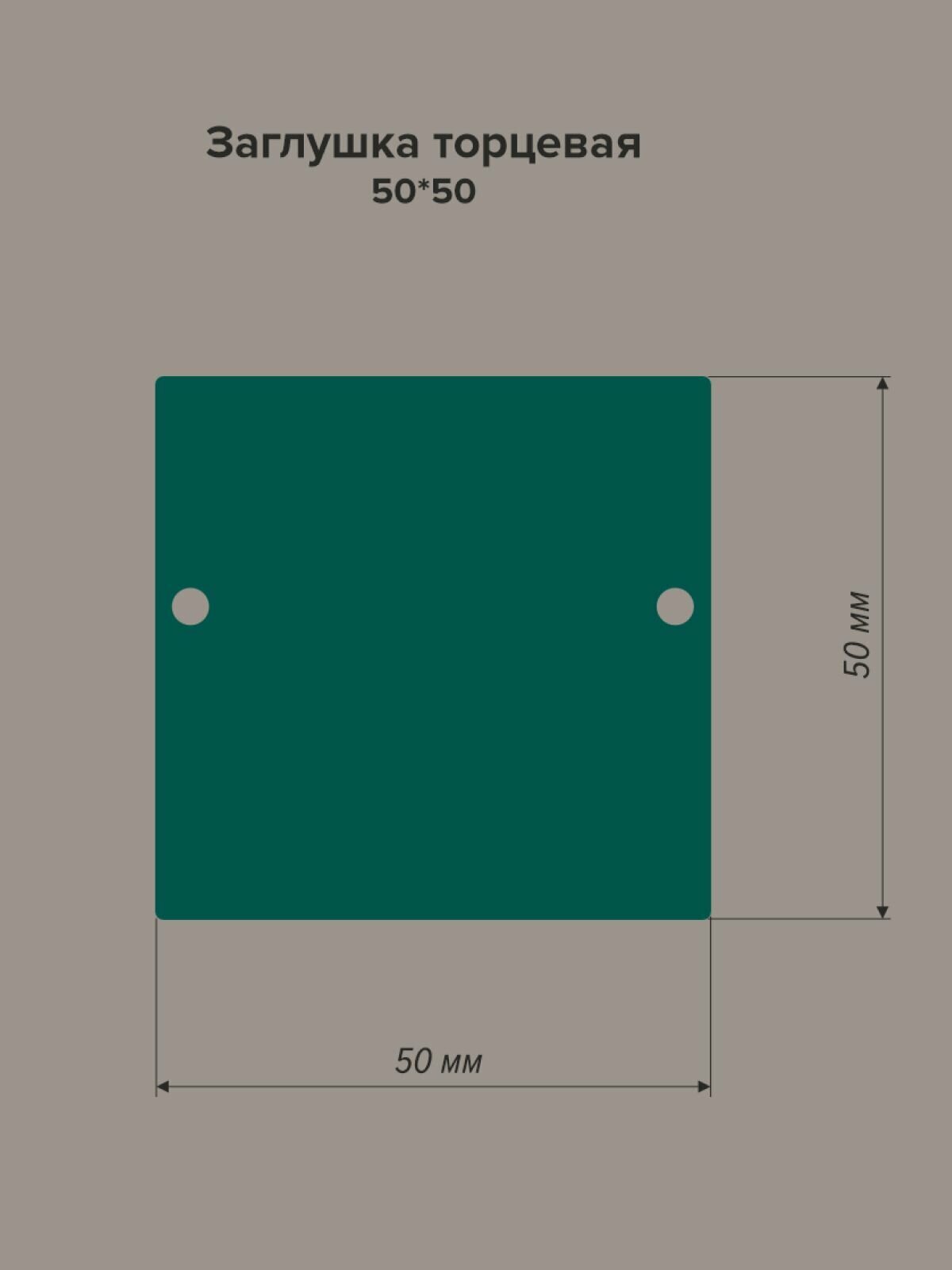 Заглушка торцевая 50х50 — фото 1