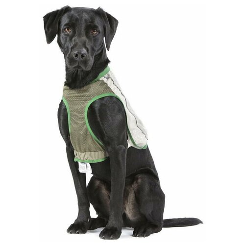 Жилетка защитная д/собак с пропиткой от насекомых SCRUFFS Insect Shield Dog Vest, M (Великобритания)