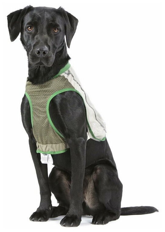 Жилетка защитная д/собак с пропиткой от насекомых SCRUFFS "Insect Shield Dog Vest", XS (Великобритания) - фотография № 2