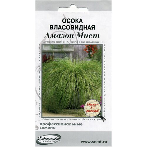 Осока Власовидная Амазон Мист, 3 драже осока власовидная бронко