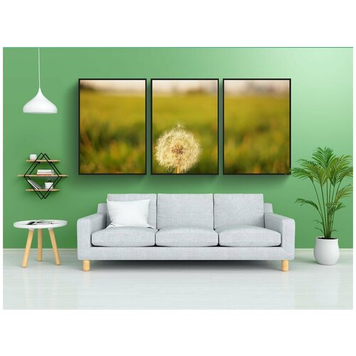 фото Набор модулных постеров для интерьера "одуванчик, цветок, расплывчатый" 60x90 см. в тубусе, без рамки lotsprints